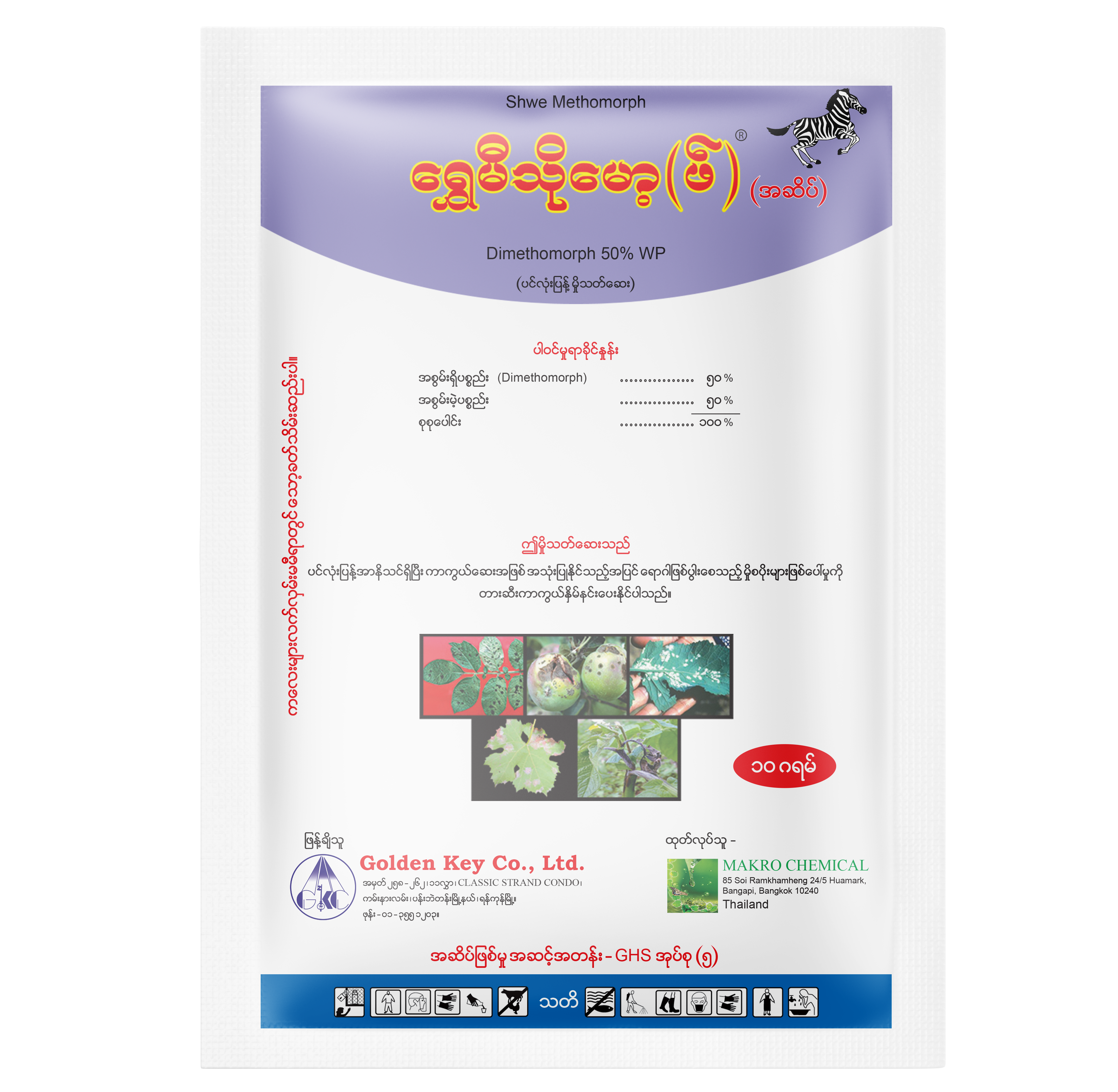 Shwe Methomorph