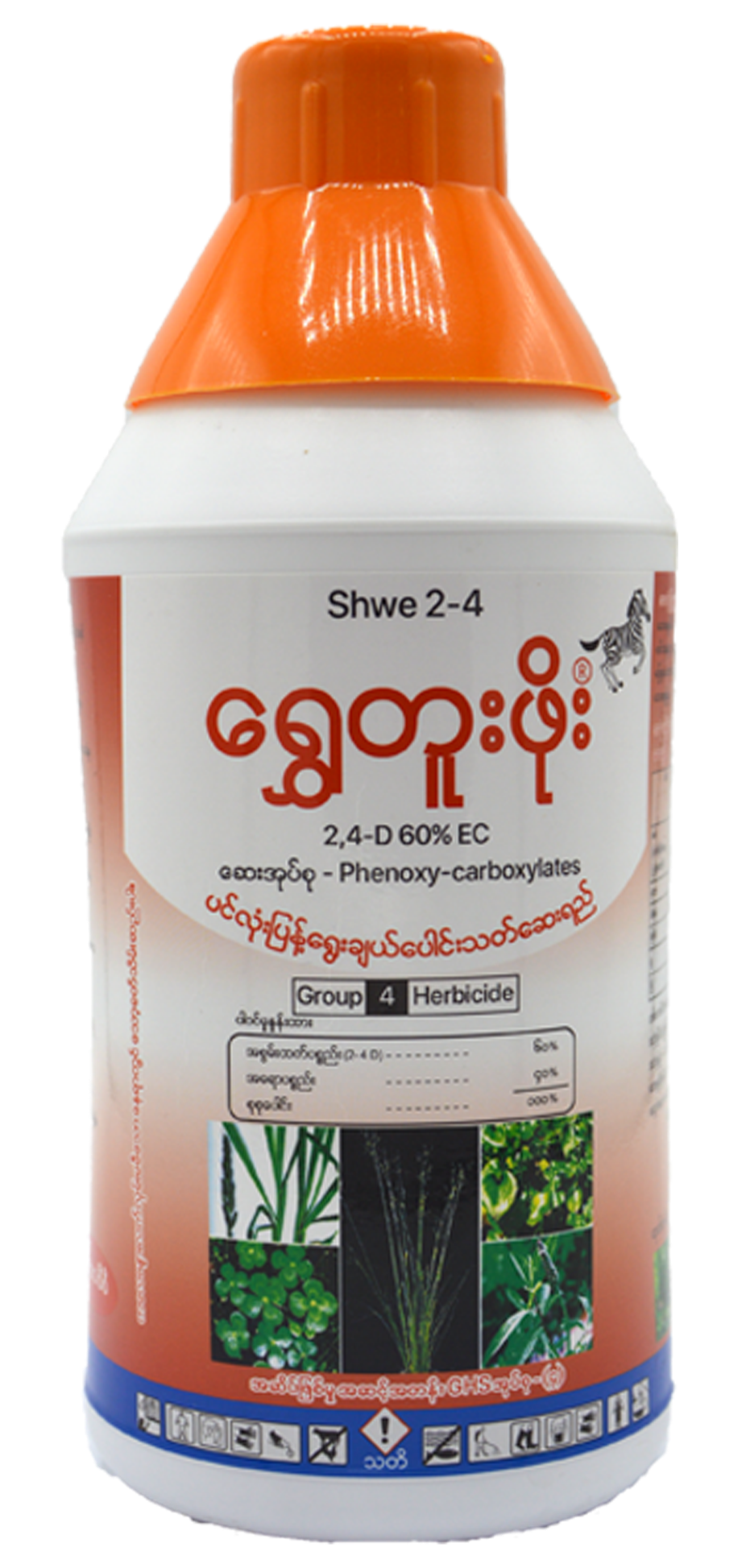 Shwe 2-4